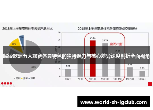 解读欧洲五大联赛各具特色的独特魅力与核心差异深度剖析全面视角