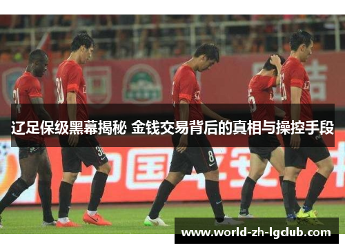 辽足保级黑幕揭秘 金钱交易背后的真相与操控手段