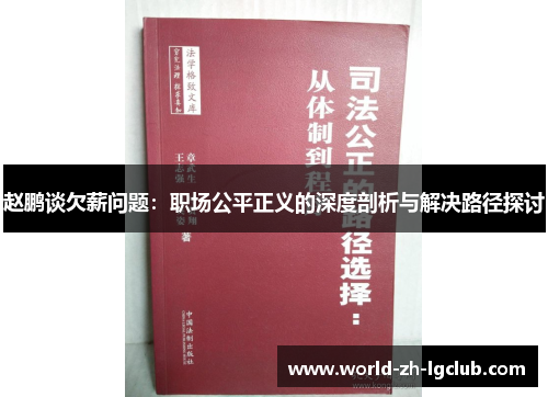 赵鹏谈欠薪问题：职场公平正义的深度剖析与解决路径探讨