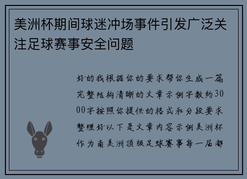 美洲杯期间球迷冲场事件引发广泛关注足球赛事安全问题 美洲杯期间球迷冲场事件引发广泛关注足球赛事安全问题